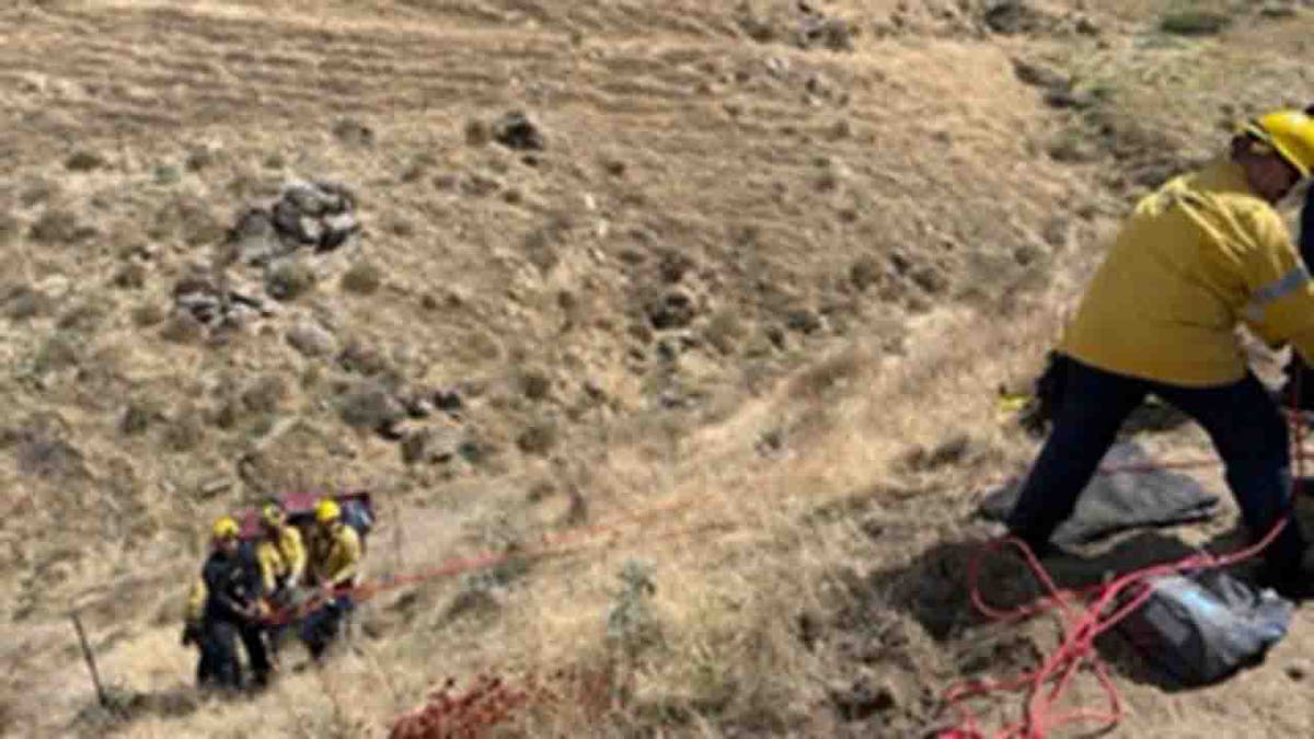 rescuers helping injured driver up hill