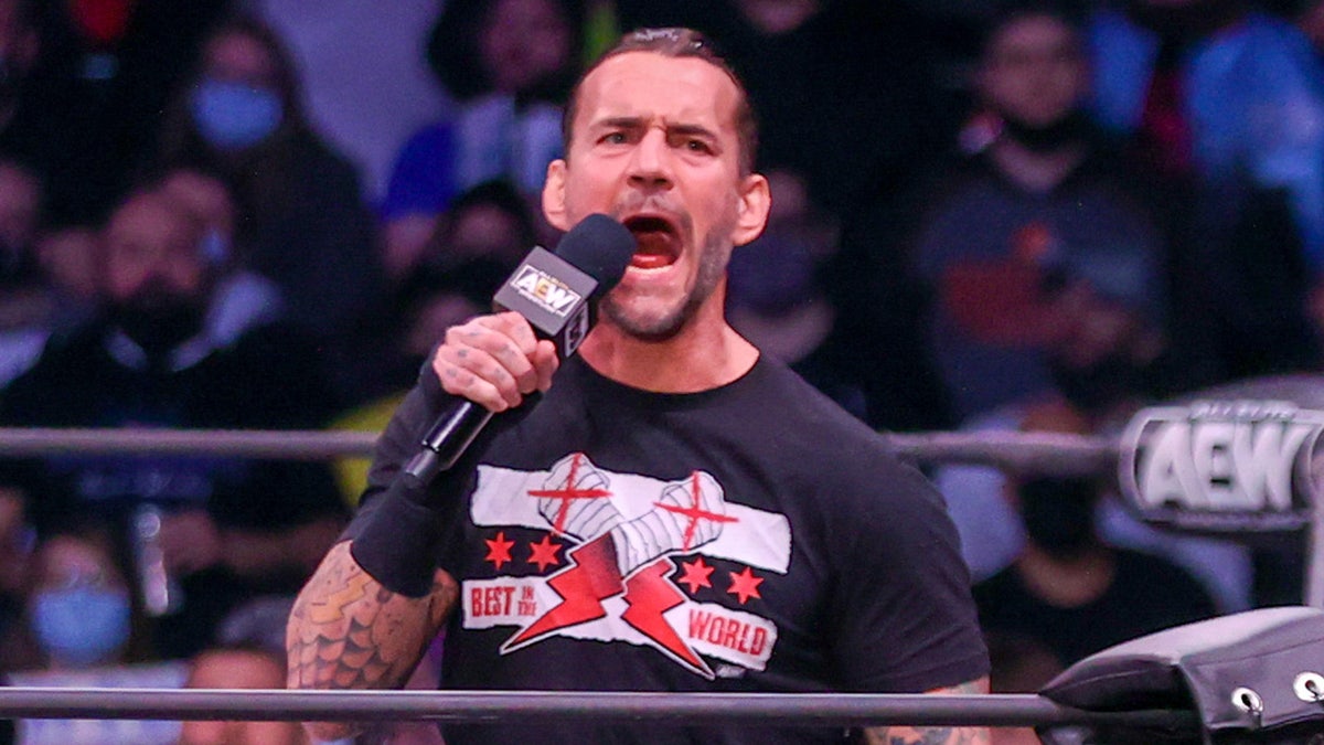 CM Punk in 2022