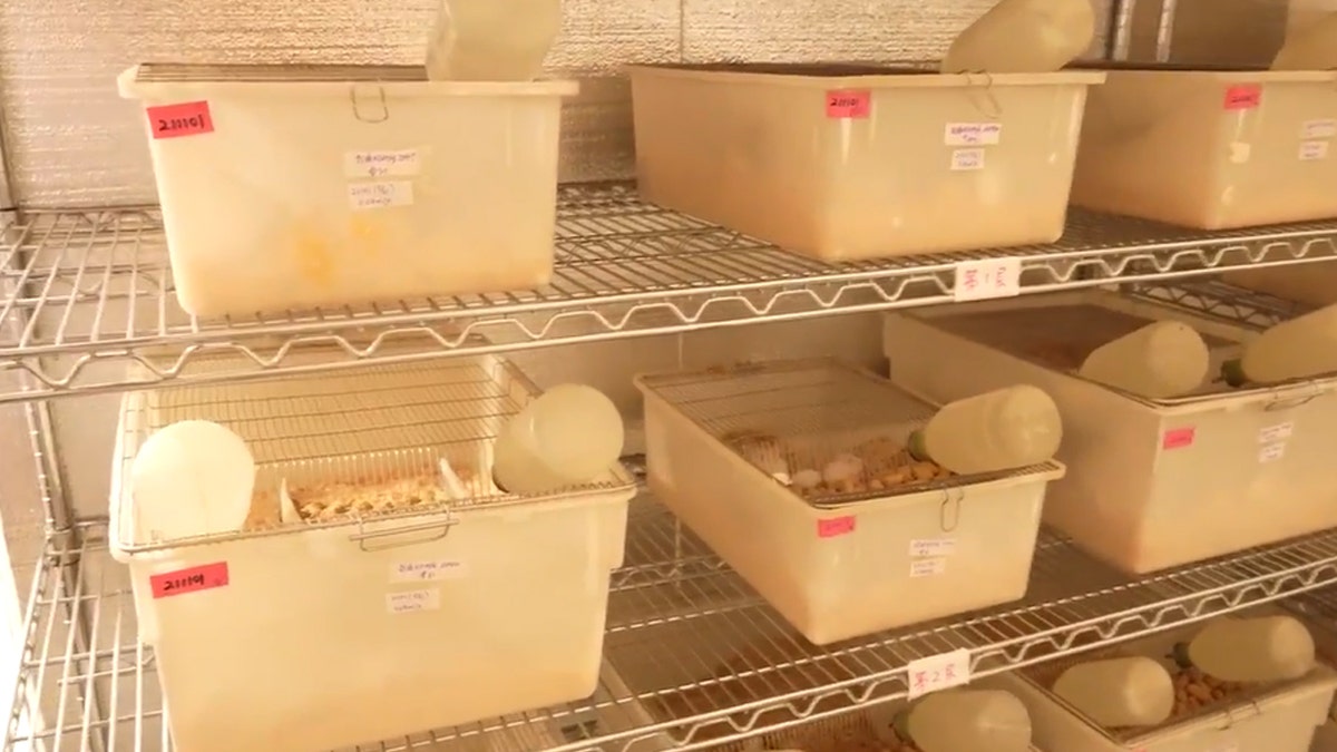 Bottles and containers in biolab