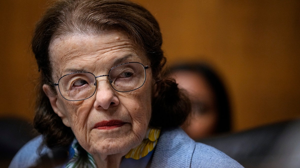 Feinstein in 2023