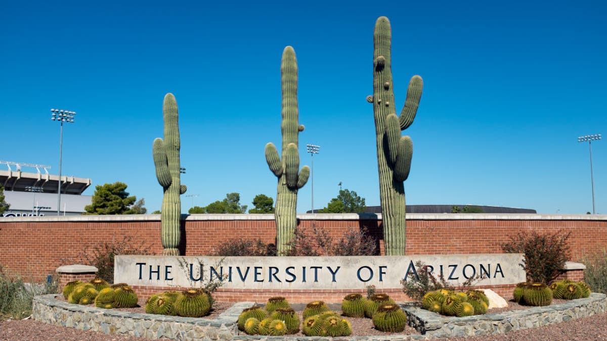 University of Arizona president faces backlash over $240 million budget ...