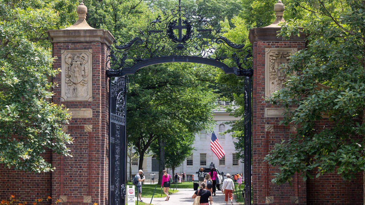 Harvard Yard students walking