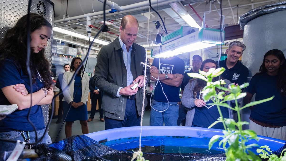 Prince William looking at a fishtank