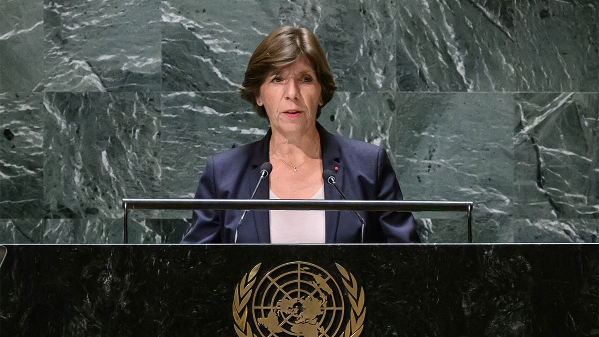 French foreign minister addresses United Nations General Assembly