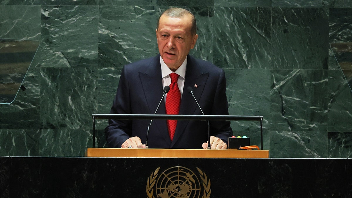 President of Türkiye Recep Tayyip Erdoğan