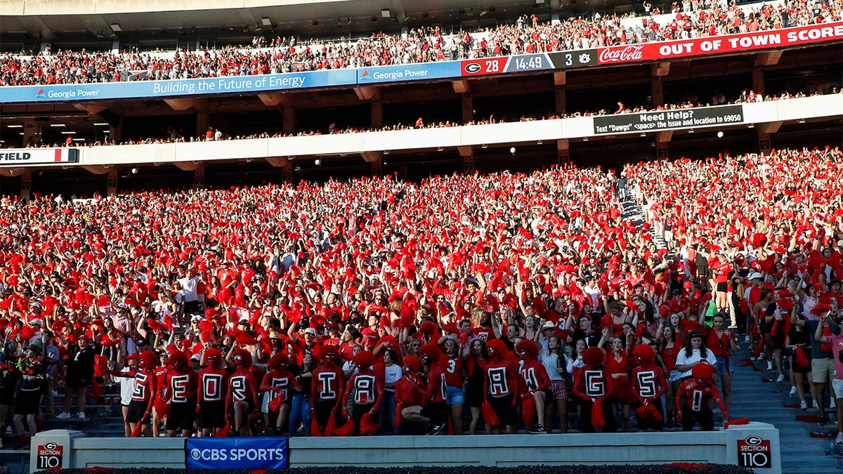 A view of Georgia fans