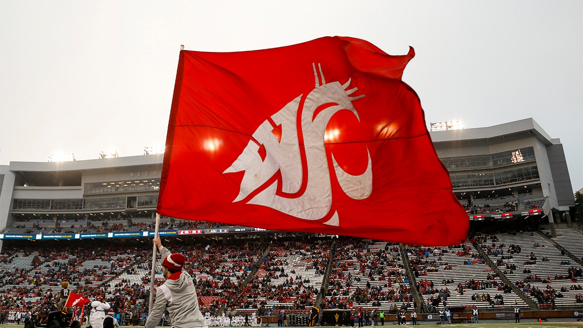The Washington State flag