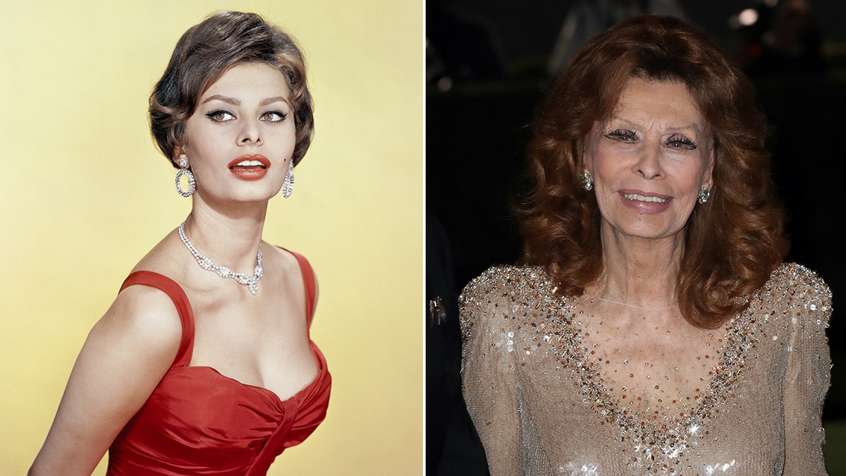 side-by-side split image of Sophia Loren