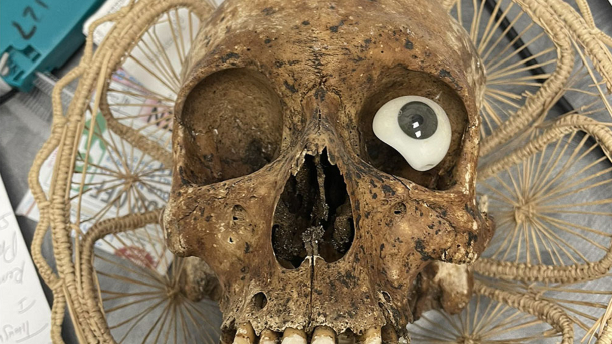 Skull found at Goodwill store in Arizona