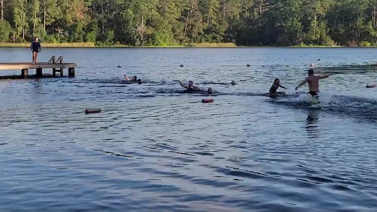 Huntsville, Texas alligator encounter