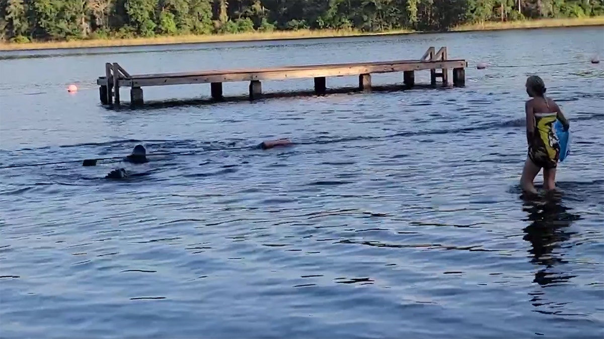 Huntsville, Texas alligator tangled in rope