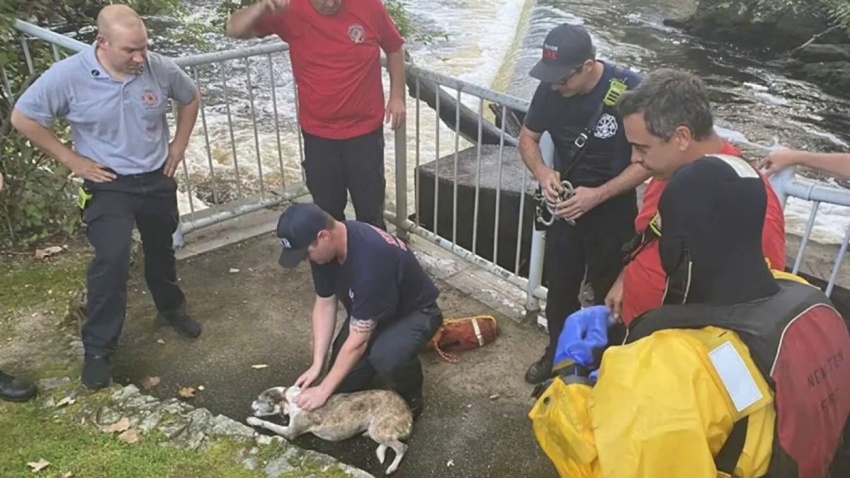 Maggie and firefighters