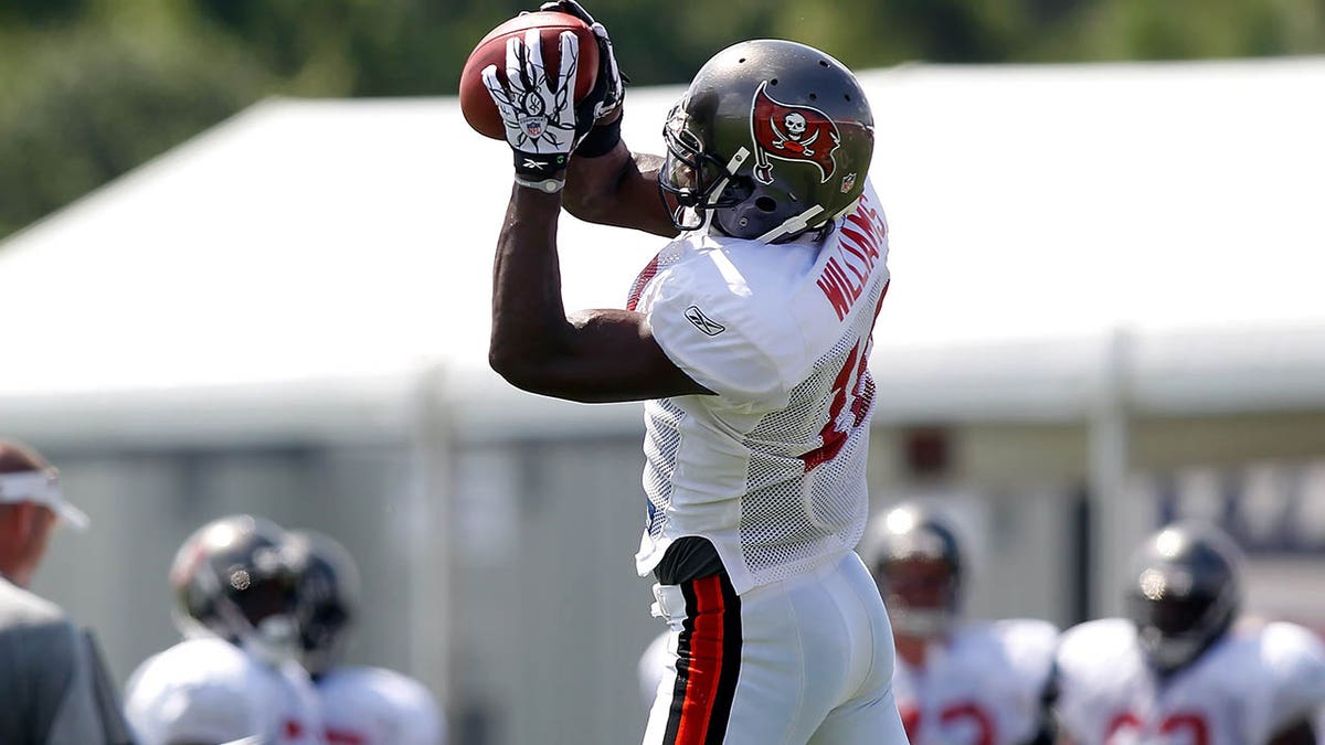Mike Williams catches