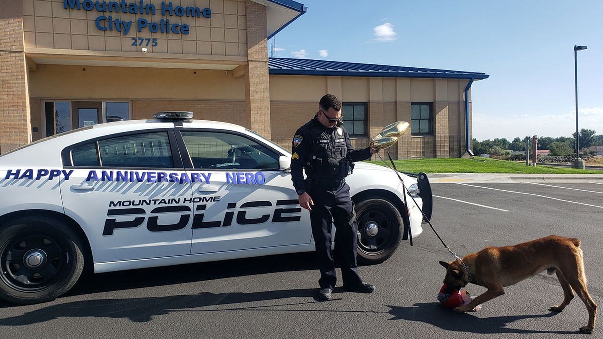 Officer playing with police dog.