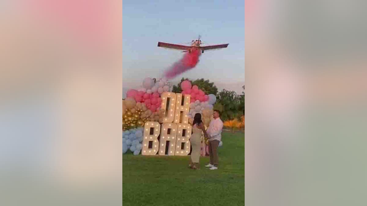 gender reveal plane