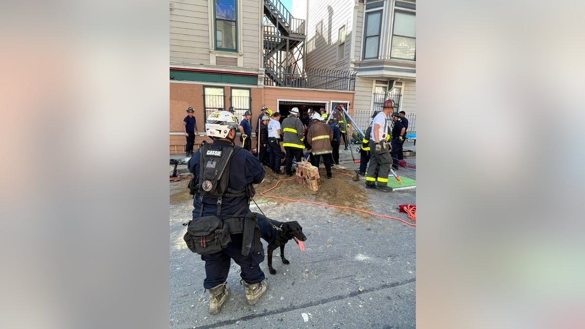 A rescue worker with a black dog watches as firefighters try to rescue a trapped worker under a mound of dirt.