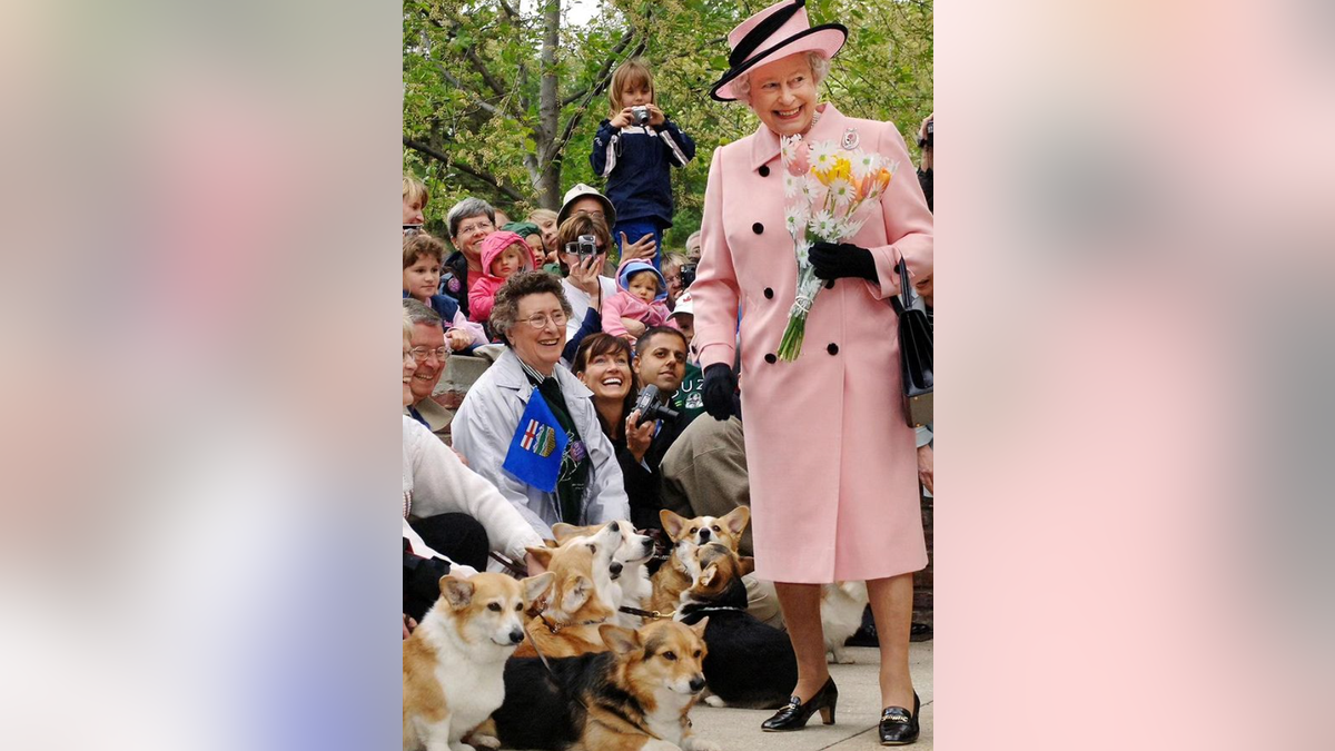 Queen Elizabeth with corgis