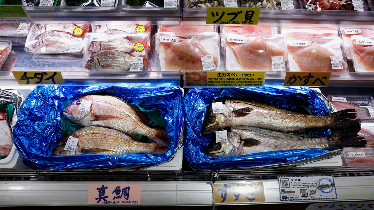 Seafod at Hamanoeki Fish Market and Food Court