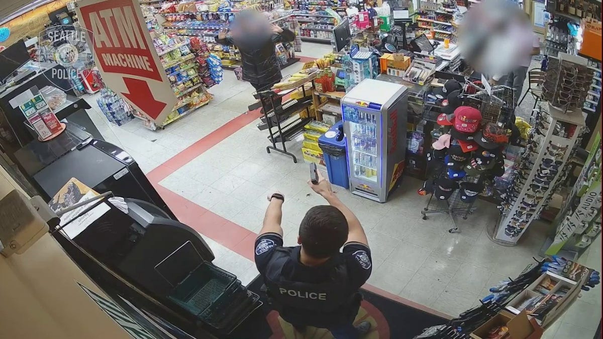 police ordering suspect to the ground