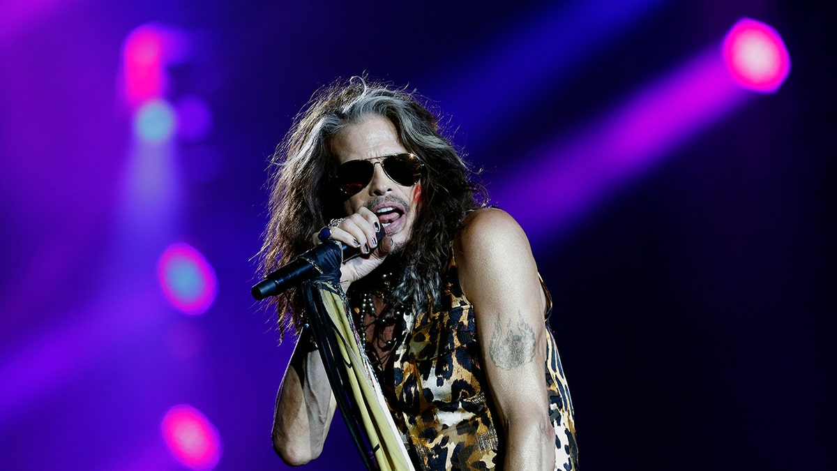 Steven Tyler singing into microphone