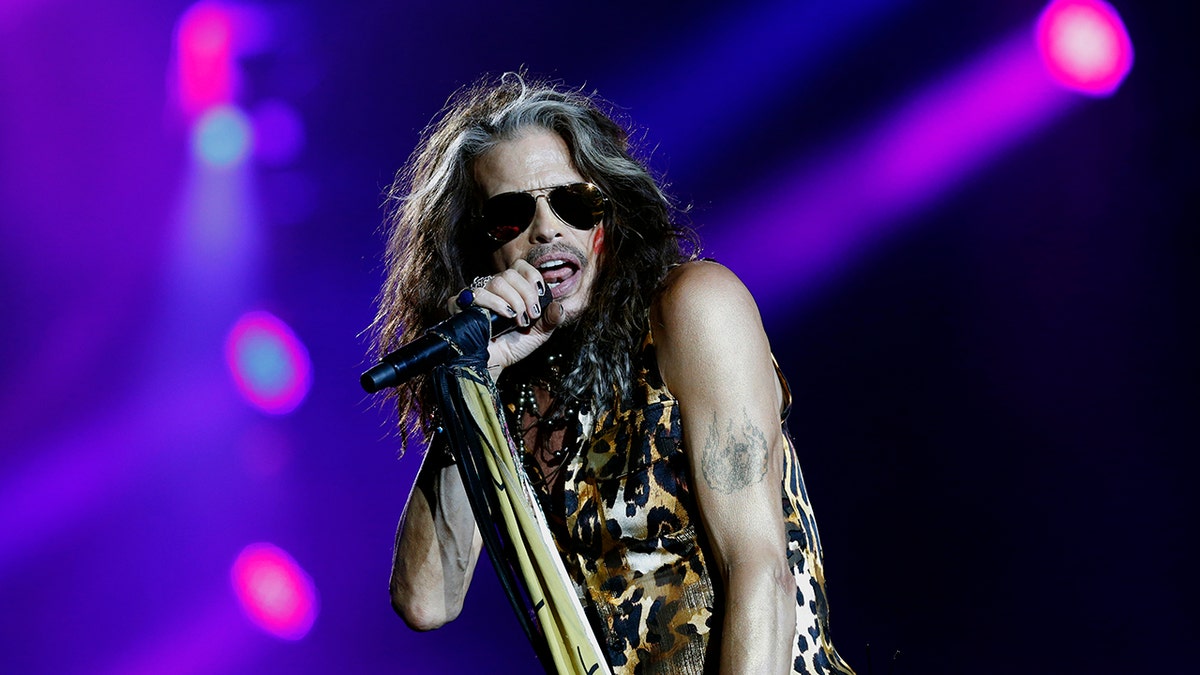 Steven Tyler singing into microphone