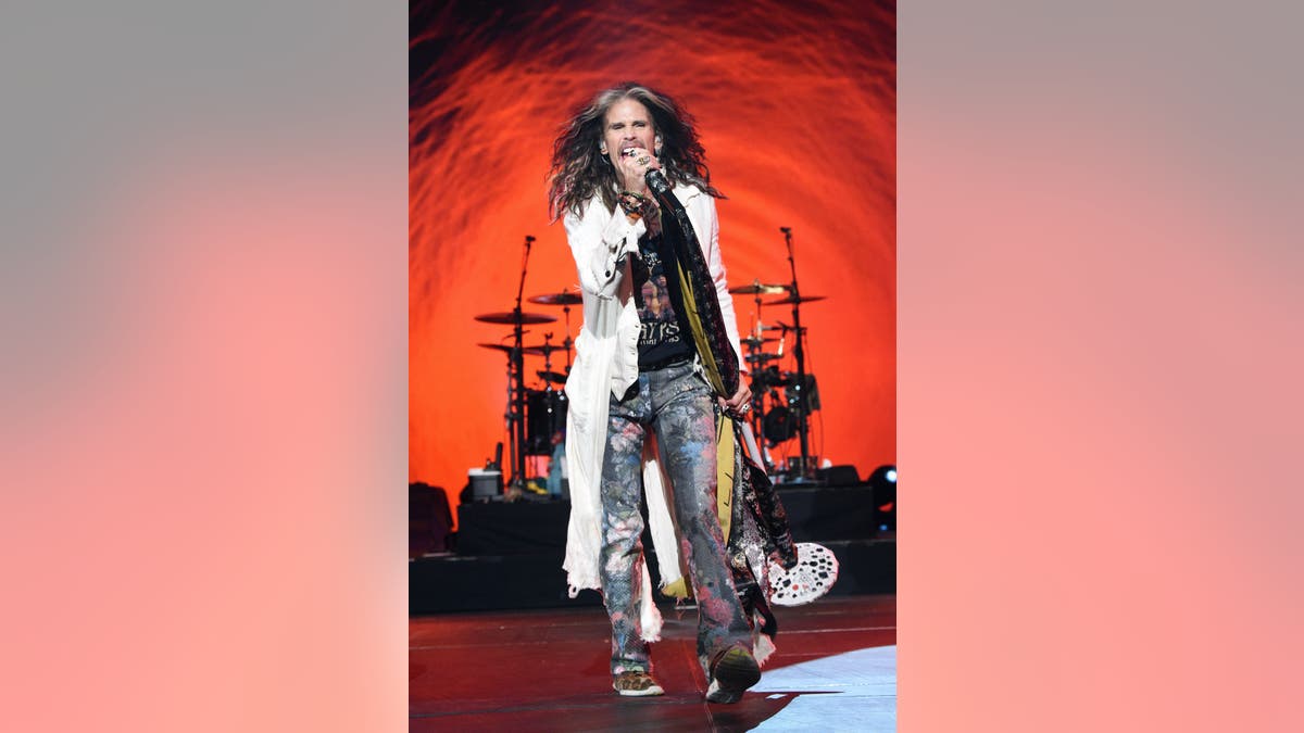 Steven Tyler holding mic stand on stage