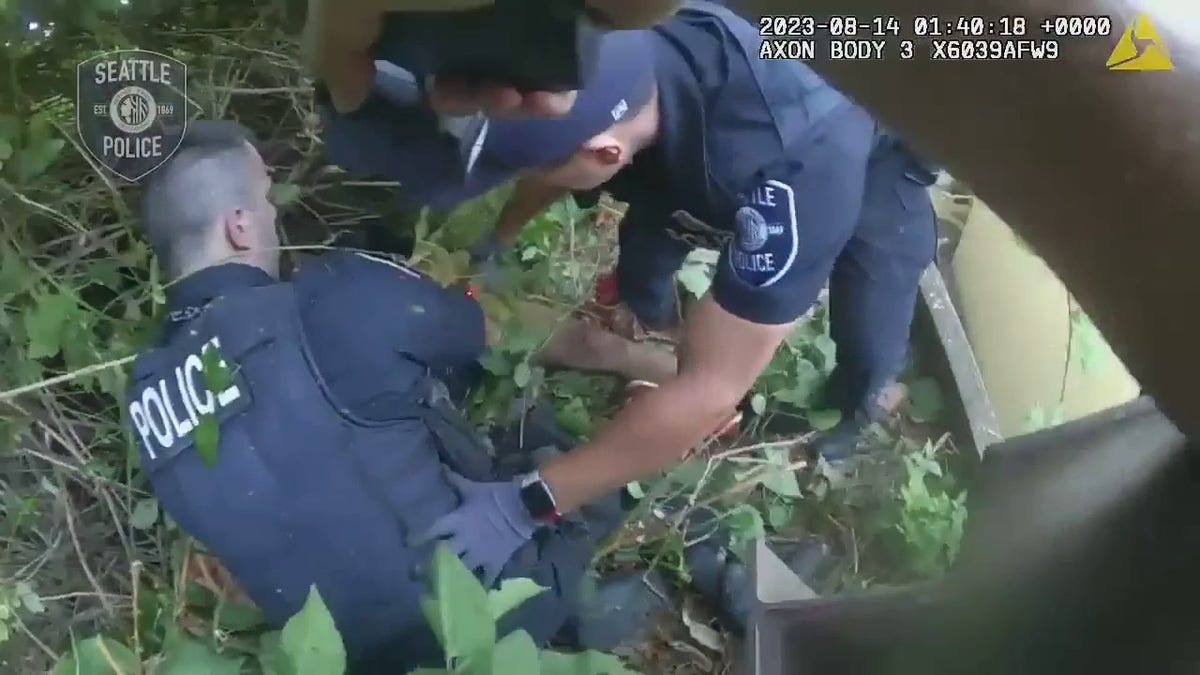 wasps stinging officers