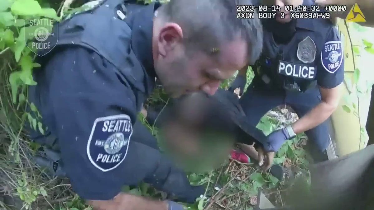 wasps stinging officers