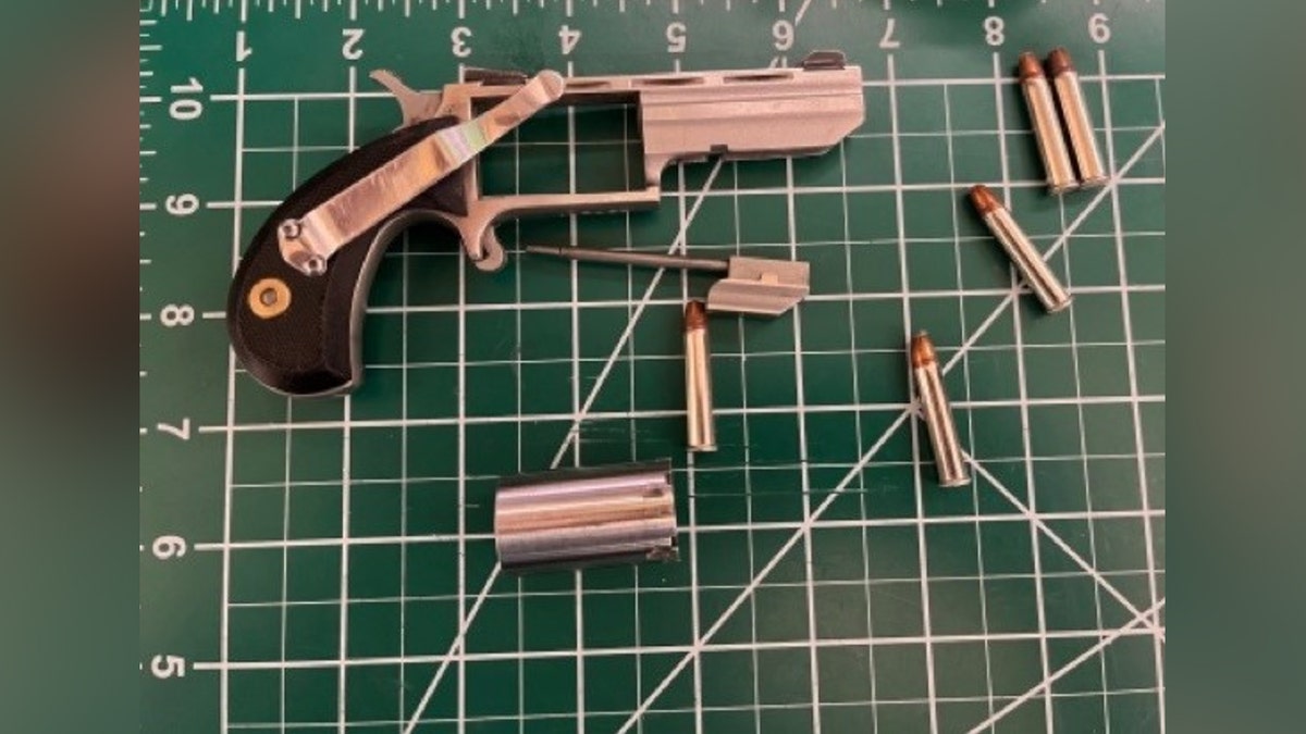 TSA confiscates loaded handgun