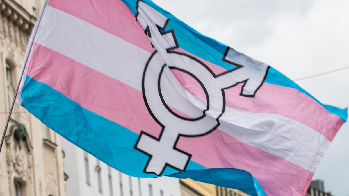 Bendera transgender