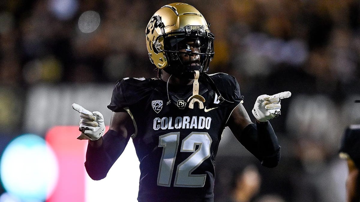 Donovan McNabb Thinks Colorado State Safety Should Be Suspended For ...