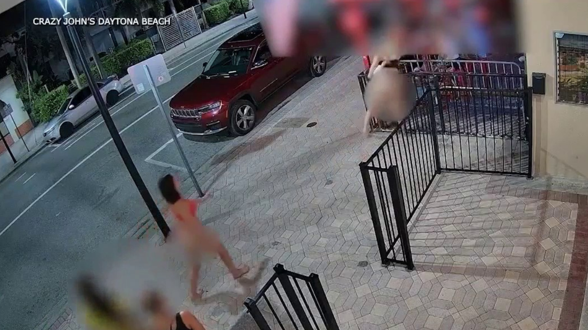 Florida suspect Brianna Lafoe can be seen swinging her hand at an individual