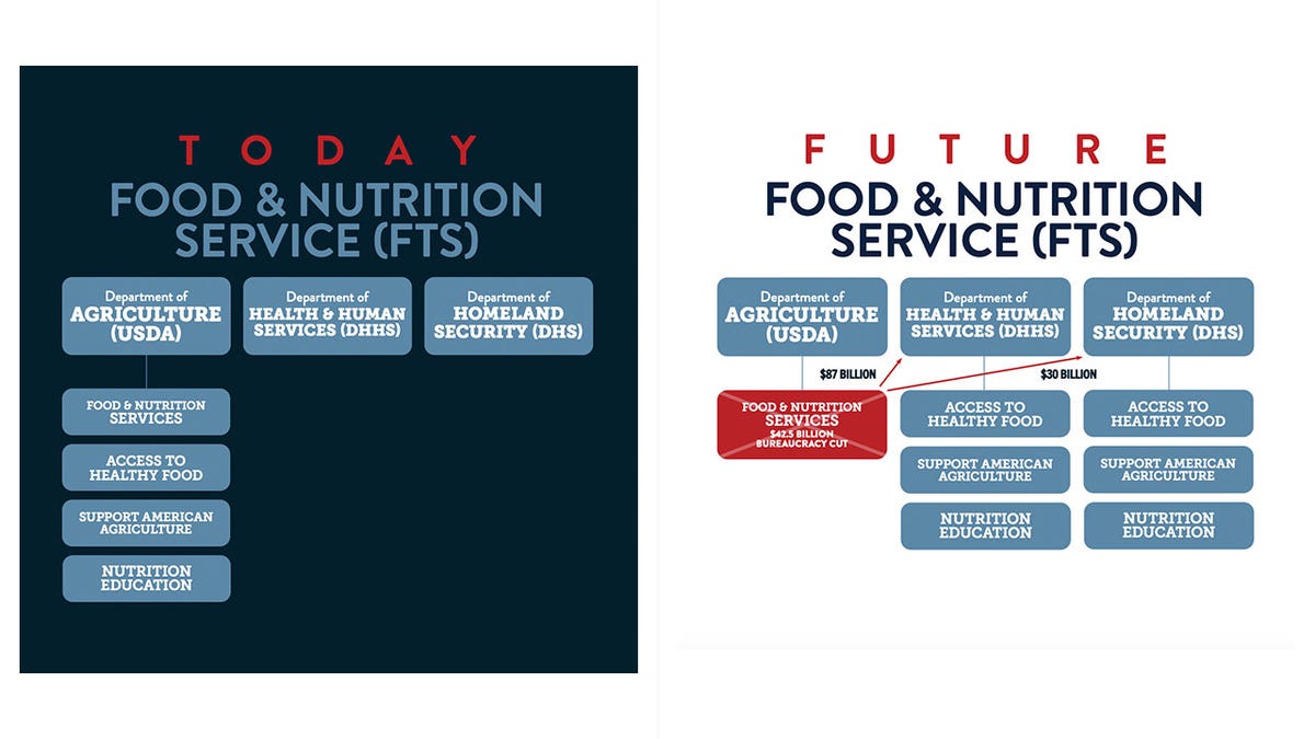 Vivek's Food and Nutrition Service plan