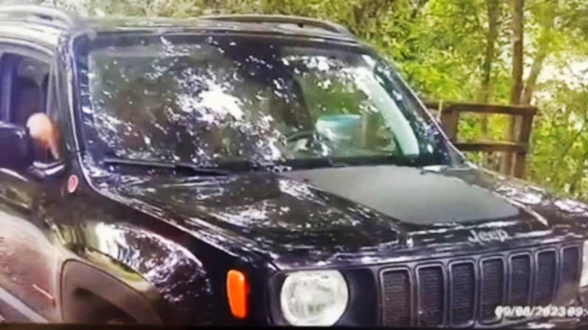 David Paul George Jr. before allegedly tossing puppy out of SUV
