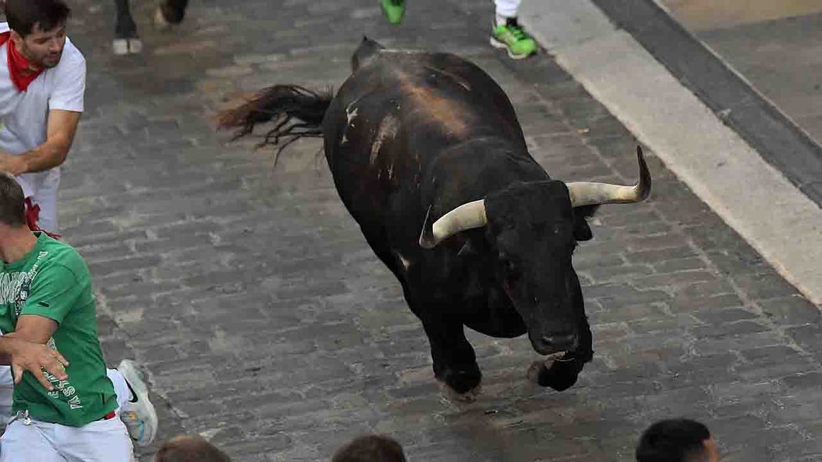 bull running down street