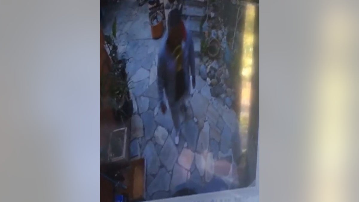 California suspected burglar