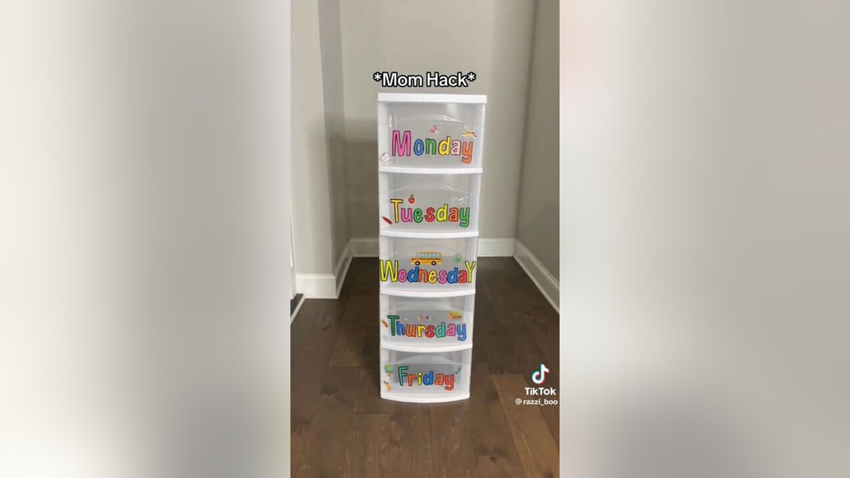 Back-to-school bins hack TikTok