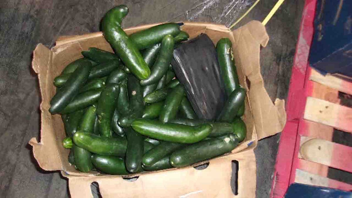 cocaine in box of cucumbers