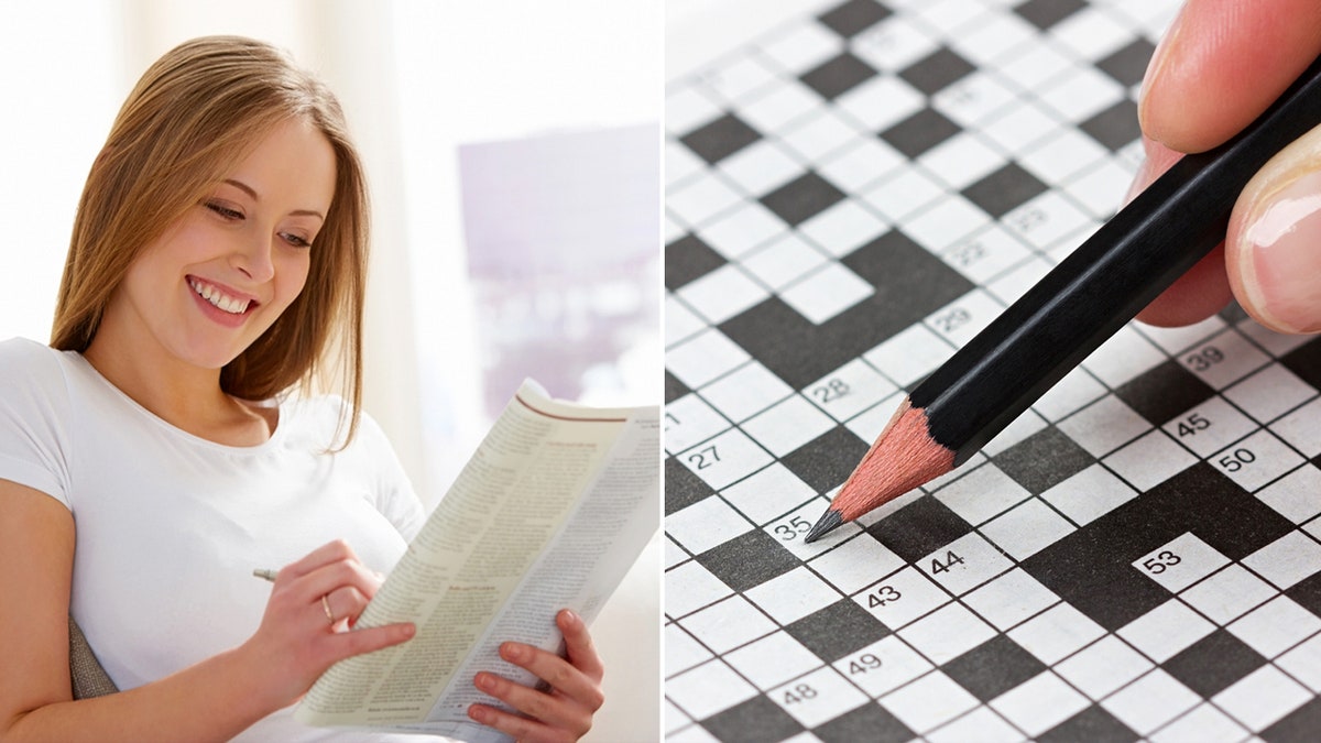 daily crossword puzzle split