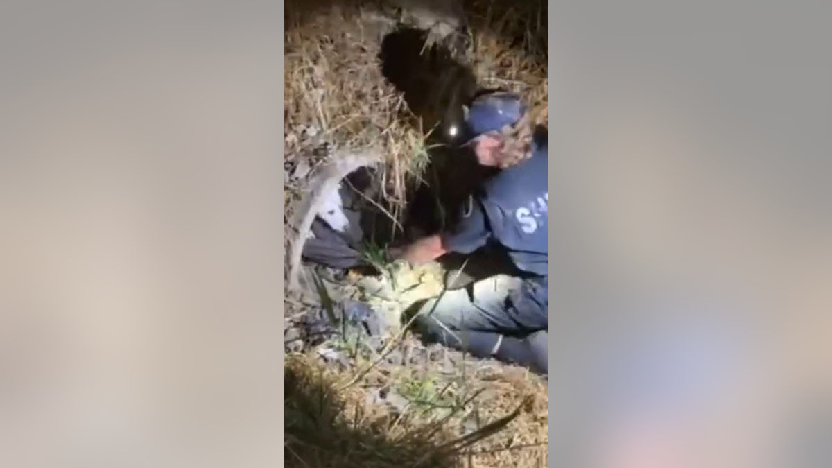Dog saved from culvert WA two