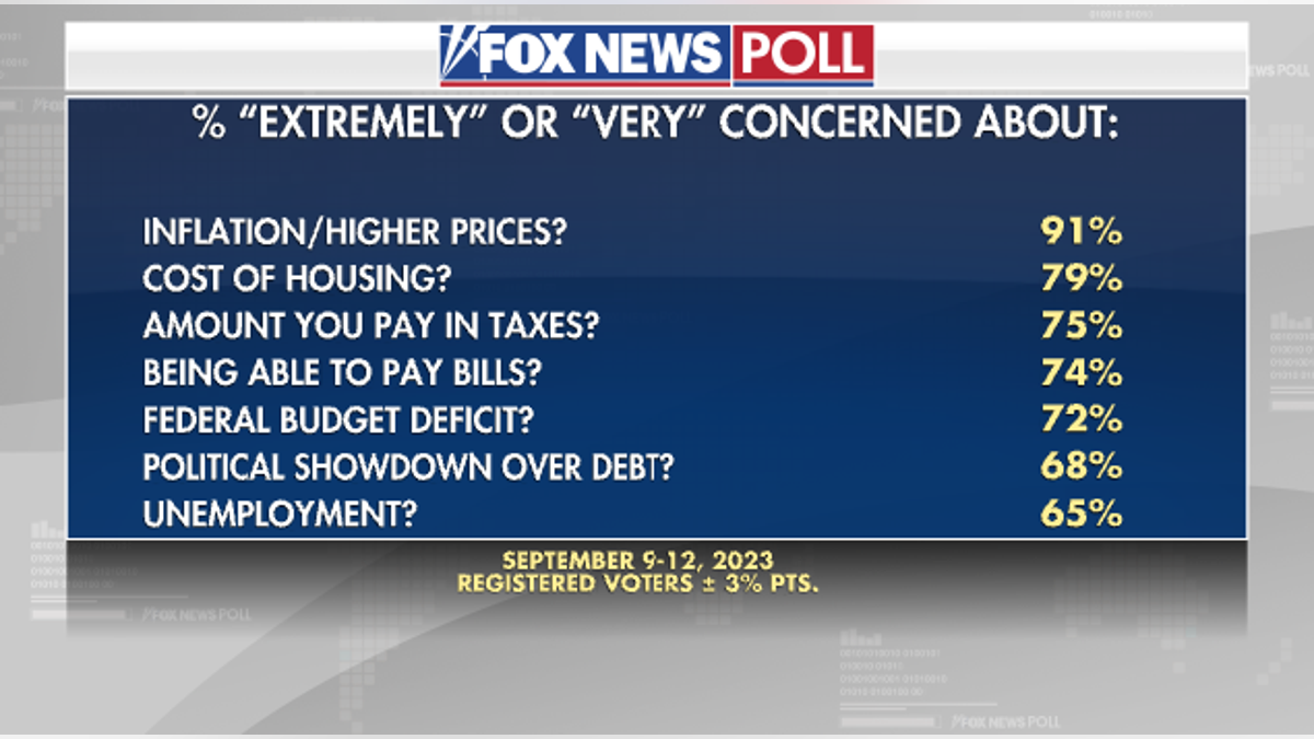 Fox News Poll voter concerns