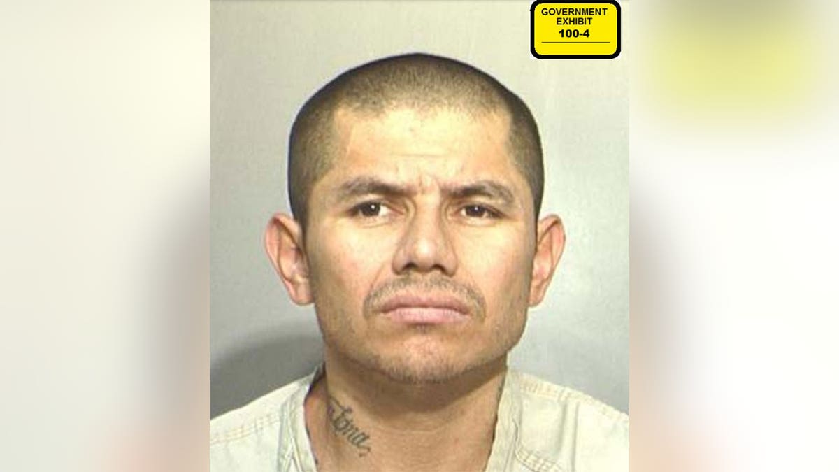Nelson Alexander Flores booking photo