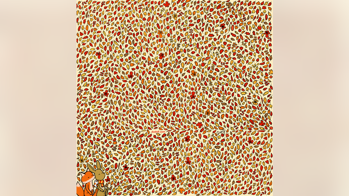 Can You Find What Is Wrong In This Image? Brain Teaser Picture