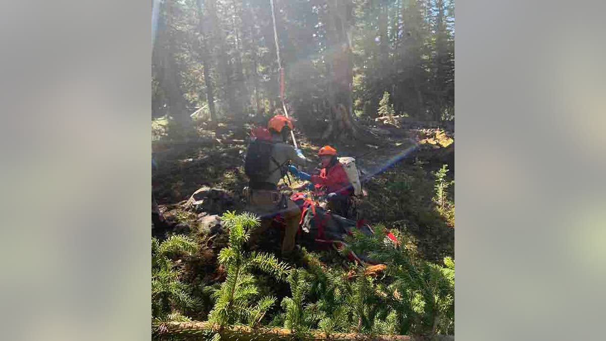 rescue crew helping injured hunter