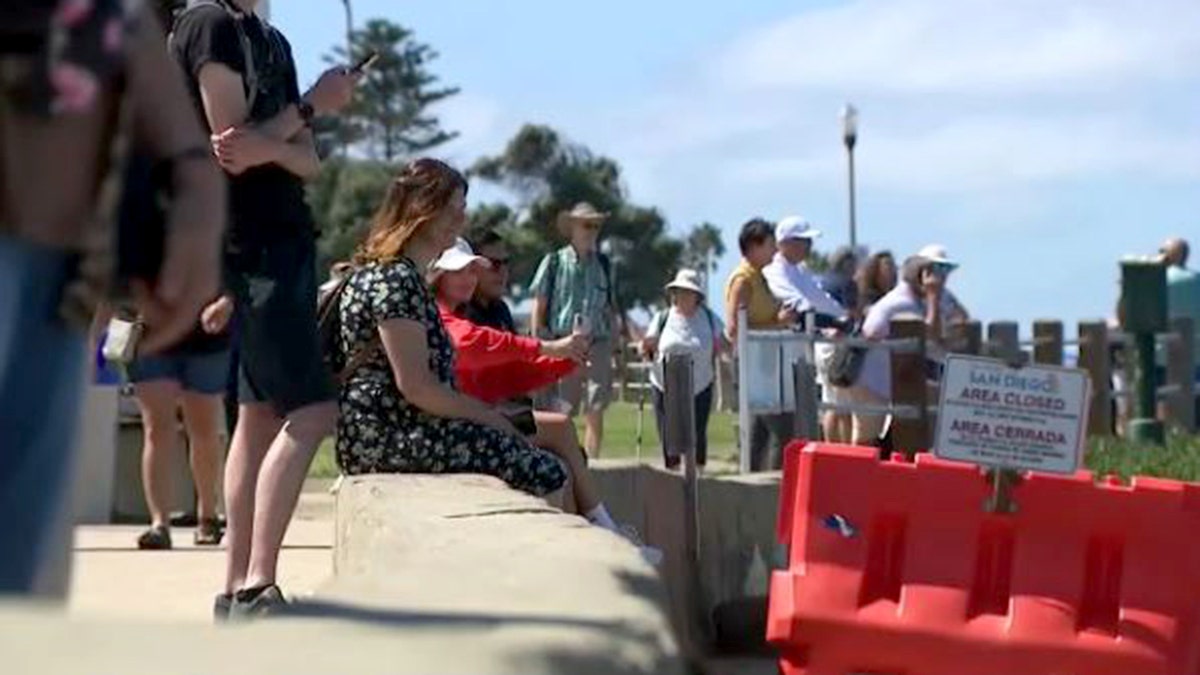 Distance between visitors and sea lions