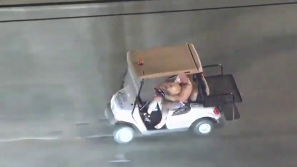 Man driving a golf cart with a dog in his lap leading a police chase