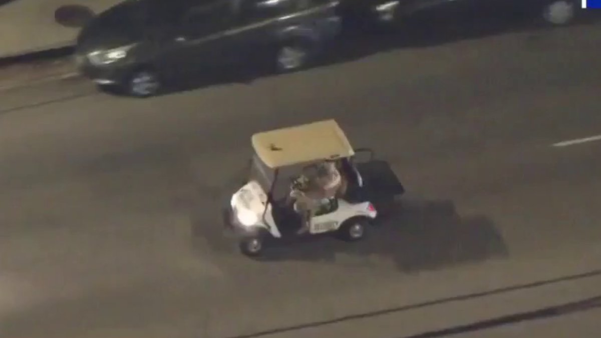 Man trying to evade police while driving a golf cart and holding a dog in his lap