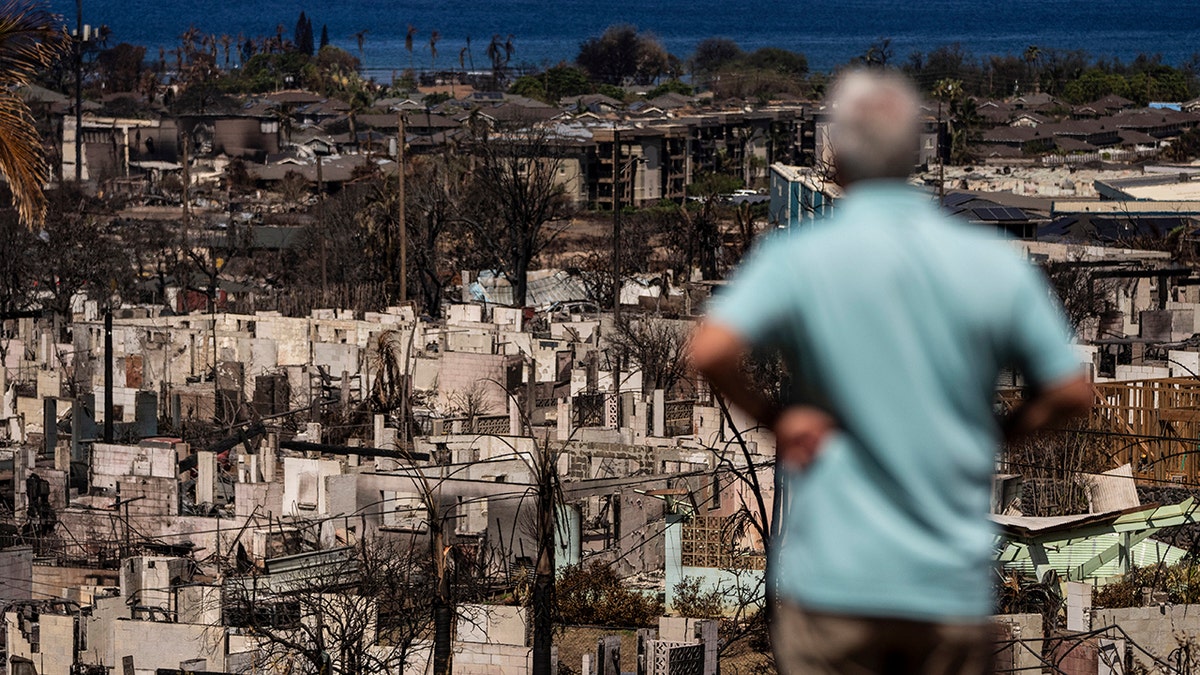 Devastation from the Maui wildfires