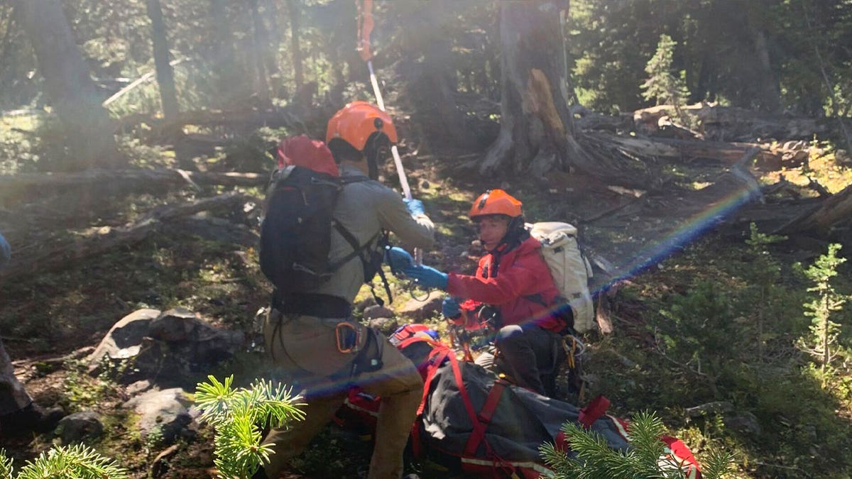 A search and rescue team hook up rope hanging from a rescue helicopter to a basket holding Rudy Noorlander after Noorlander was mauled by a grizzly bear on Sep. 8, 2023. 