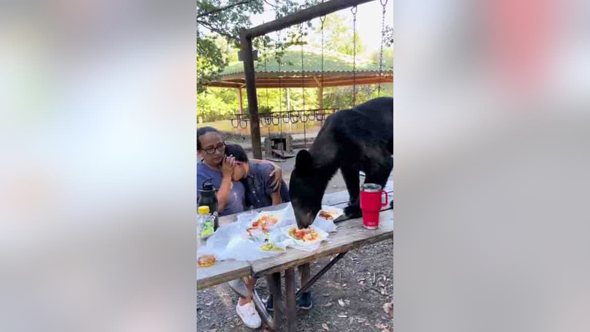 mother shielding son from bear